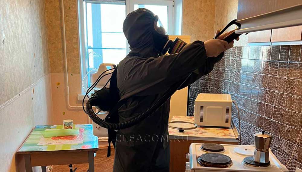 травля